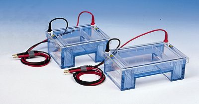 Cole-Parmer Horizontal Gel Electrophoresis Systems