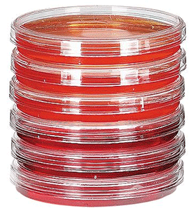 Sterile Petri Dishes