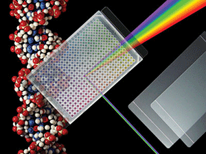 ThermalSeal™ Film for Thermal Cycling, Transparent Polyester, for Real-Time PCR 