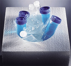 Insul-Ice™ Single Packet