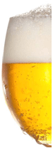 close up picture of beer
