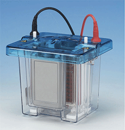 Cole-Parmer® Dual Cool Electrophoresis System with Casting Kit