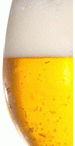 close up picture of beer