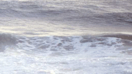 Water Quality