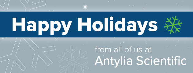 Happy Holiday Banner