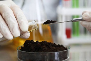 Soil Testing of pH