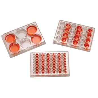CELL CULTURE PLATES